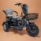 Электротрицикл Бумеранг Pro Х3 (V1) красный